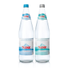 Acqua Sangemini 1 lt Vetro (2) Acqua Plose (Naturale - Legg.Frizzante)