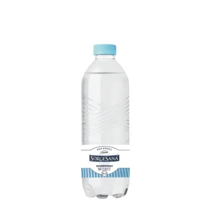Sorgesana Naturale Acqua Sorgesana Naturale 0,5 lt