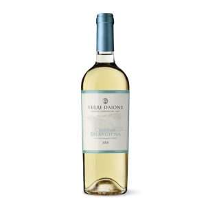 DIBE_VINO_0,75_0034_Falanghina-Campania-IGT-DAione-aidavini-2 Terre D'Aione Falanghina IGT